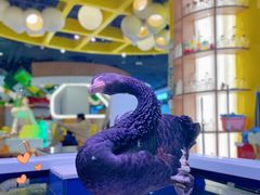 -DQ·蛋糕·冰淇淋(雨花吾悦店)