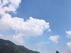 -王莽岭风景区
