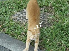 -海珠湖公园