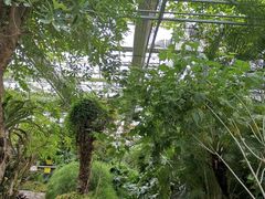 -南通洲际绿博园