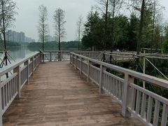 -广东花都湖国家湿地公园