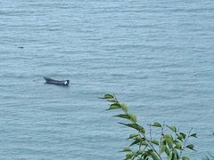 -湄洲岛