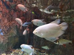 -多彩贵州城极地海洋世界