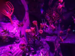 -沈阳海洋探索中心