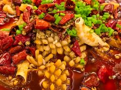 -鸿运楼烤鸭店(天桥店)