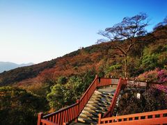 -广州市石门国家森林公园