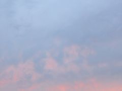 -周浦花海-停车场