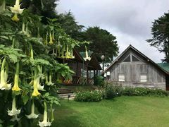 -法兰克福机场免税店(2号航站楼店)