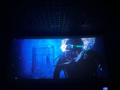 -金逸影城(武汉人信汇IMAX店)