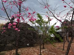 -南诏风情岛
