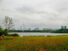 -海珠湖公园