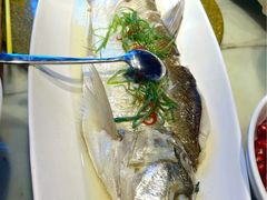 清蒸白鱼-二十八里太湖船菜(吉祥路店)