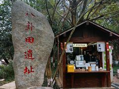 -八卦田遗址公园