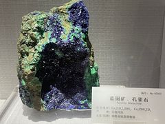 -湖南省地质博物馆