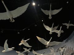 -中国湿地博物馆
