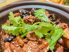 -兴隆槟榔园休闲农庄