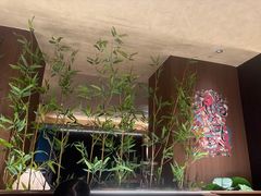 -雨后行菜(报慈北路店)