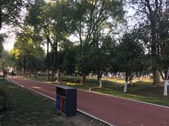 -天鹅湖体育公园