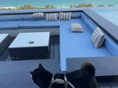-瑰丽酒店·海吧·天际下午茶·现场DJ·天台酒吧
