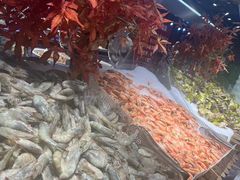 -圣罗巴海鲜烤肉自助(佳兆业店)