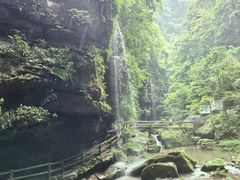 -碧峰峡风景区