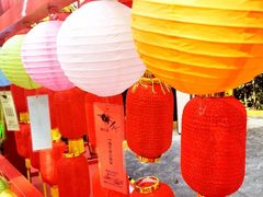 -广州长隆欢乐世界