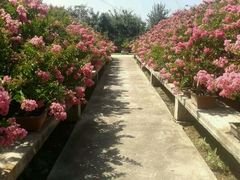 android_upload_pic-中国唐苑