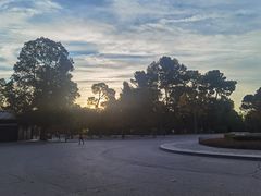 -丽池公园