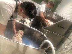 -電力宠物公司(武定路店)