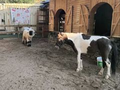 -HERRE·FARM 赫尔露营农场·团建聚会包场