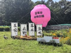 -金石滩蓝莓谷庄园