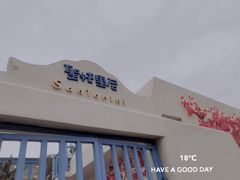 -北戴河碧螺塔海上酒吧公园