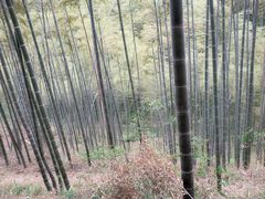 -径山寺