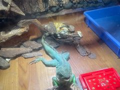 -嘉兴海底世界