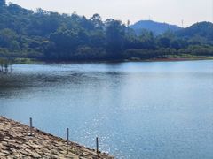 -黄山鲁森林公园