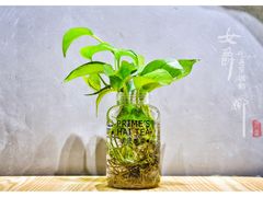 -素匠泰茶(三里屯SOHO工体奶茶店)