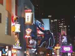 -奥兰多环球影城