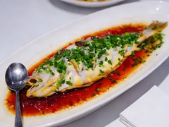 -南麓·浙里(外滩店)