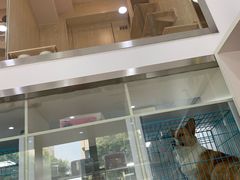 -萌兽医馆·宠物医院·猫骨科(创景店)