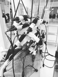 -P.STYLE派斯造型