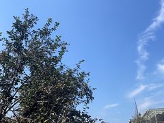 -自如ZSPACE四合院艺术餐厅