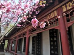 -碑林公园