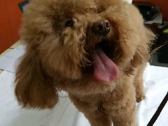 -惠康宠物医院(华能路店)