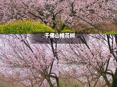 -趵突泉景区