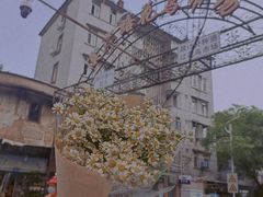 -溪岸路花鸟市场
