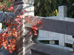 -白马涧龙池景区