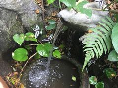 -观澜山水田园