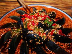 -老白家面馆(测绘东路总店)