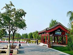 -西海子公园