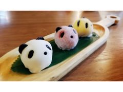 天府三色熊猫-天府掌柜(九眼桥店)